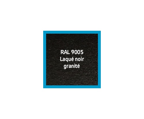 VERRIERE 3 VERRES CURLY - 1020 x 1250 mm - LAQUÉ NOIR 9005 GRANITÉ - VERRE SAHARA